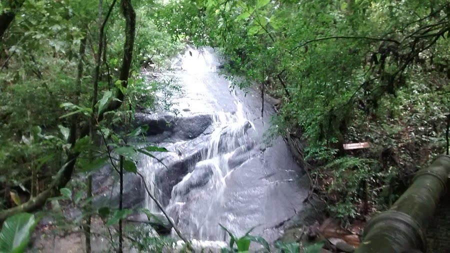 Trecho de Mata Atlântica fechada com água descendo entre pedras na trilha do Engordador